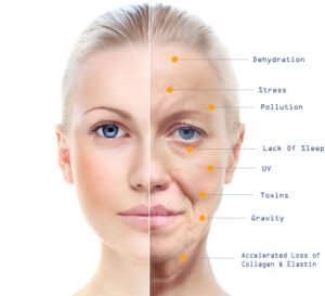 Probiotics for Skin Health: The Complete Guide to a Radiant Complexion from Within Probiotics for Skin Health: The Complete Guide to a Radiant Complexion from Within