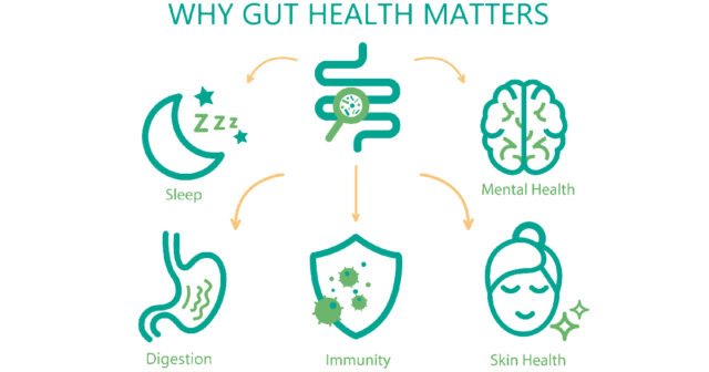 Science behind Prime Biome skin-gut connection