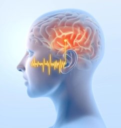 Brain Health and Hearing Connection