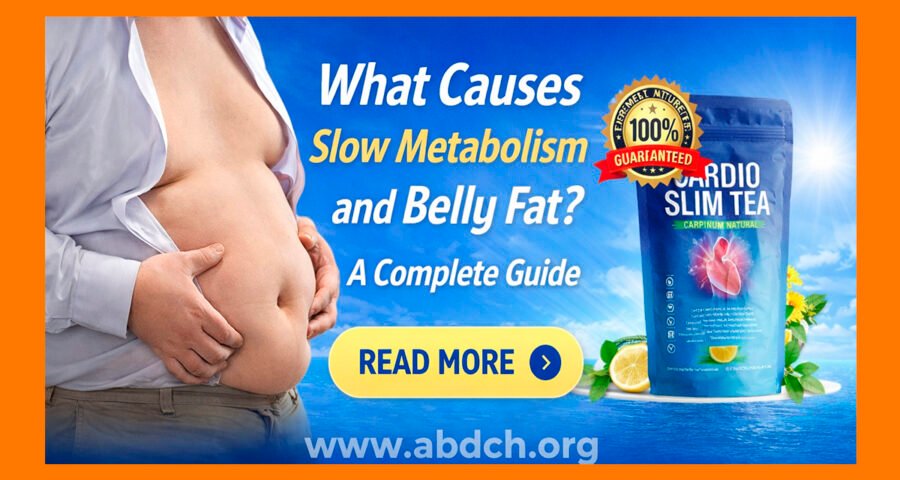 What Causes Slow Metabolism and Belly Fat? A Complete Guide